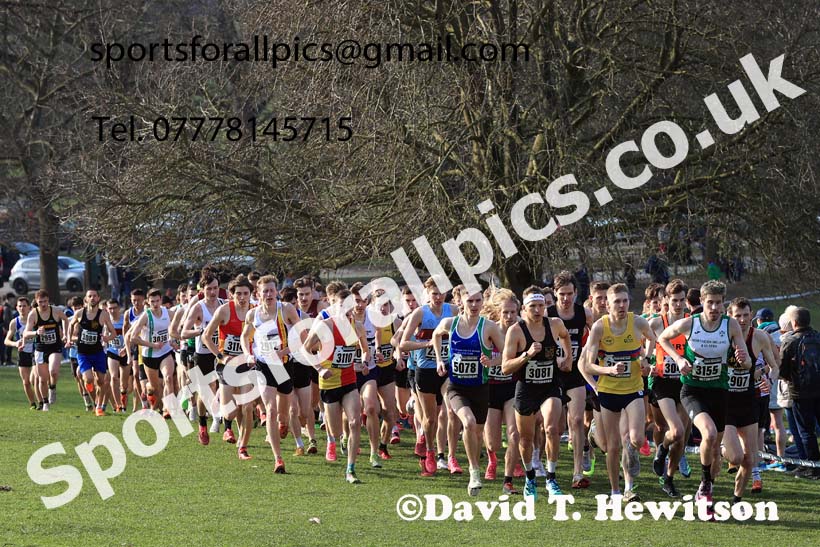 Senior Men, 2024 CAU Inter Counties Cross Country Champs., Wollaton Park, Nottingham. Photo: David T. Hewitson/Sports for All Pics